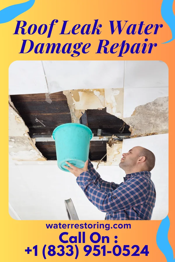 Roof Leak Water Damage Repair in Garden, UT